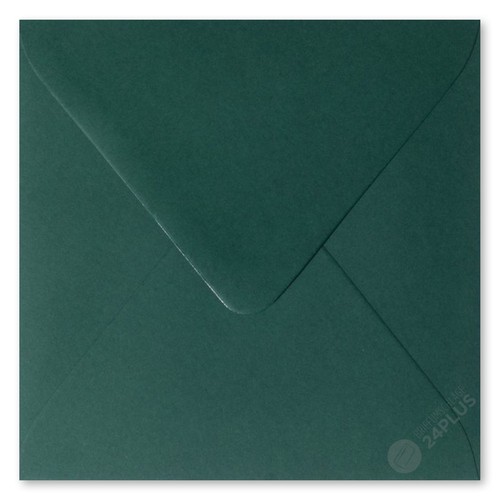 Buste adesive umido abete - 25,